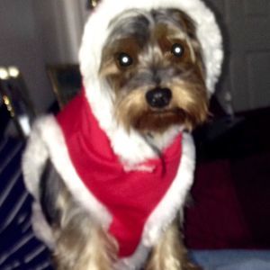 Meet your Posher, Deborah